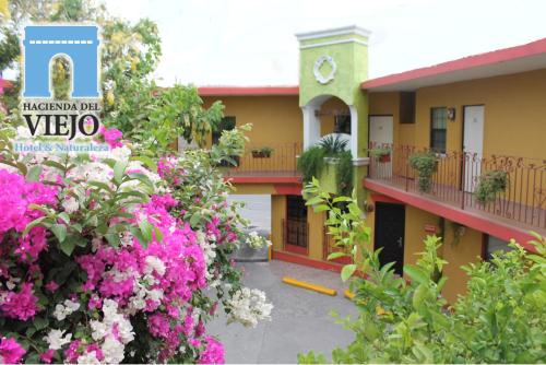 Hotel Hacienda del Viejo